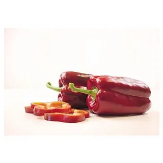 Compra PIMIENTO QUIJANO F-1 (1.000 Semillas) en la tienda online Fito Agrícola