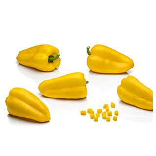 Compra PIMIENTO SANTACARA F1 (1.000 Semillas) en la tienda online Fito Agrícola