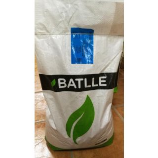 Compra SORGO GRANO BLANCO EXPRESS DMS 3-410 (25 Kgr.). en la tienda online Fito Agrícola