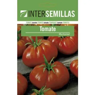Compra TOMATE MUCHAMIEL (100 gr.). en la tienda online Fito Agrícola