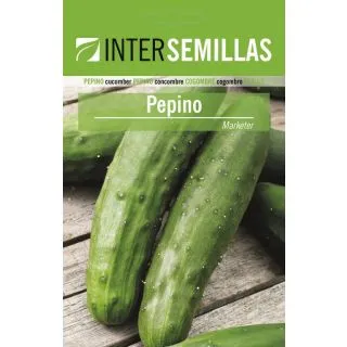 Compra PEPINO MARKETER (500 gr.). en la tienda online Fito Agrícola