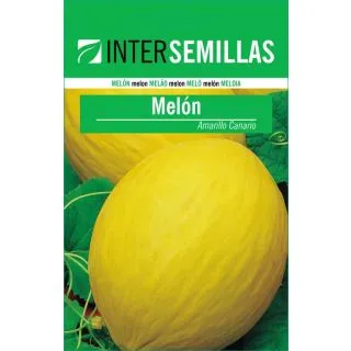 Compra MELÓN AMARILLO CANARIO (100 gr.). en la tienda online Fito Agrícola