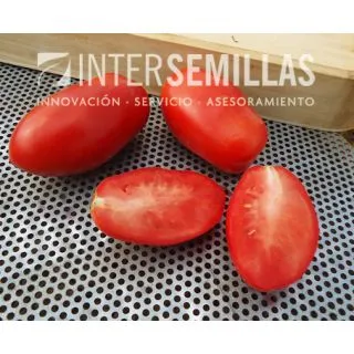 Compra TOMATE FASTRED F1 (1000 Semillas). en la tienda online Fito Agrícola