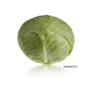 Compra COL CHARMANT F1 (2.500 Semillas). en la tienda online Fito Agrícola
