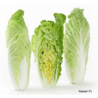 Compra COL CHINA NATSUKI F1 (2.500 Semillas) en la tienda online Fito Agrícola