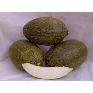 Compra MELÓN DON QUIXOTE F-1 (1.000 Semillas) en la tienda online Fito Agrícola