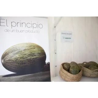 Compra MELÓN GRAND RIVERO F1 (1.000 Semillas). en la tienda online Fito Agrícola