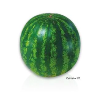 Compra SANDÍA CRIMSTAR F1 (1.000 Semillas). en la tienda online Fito Agrícola