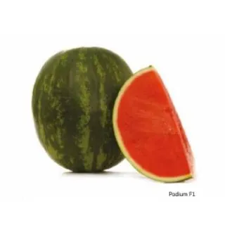 Compra SANDÍA PODIUM F1 (1.000 Semillas). en la tienda online Fito Agrícola