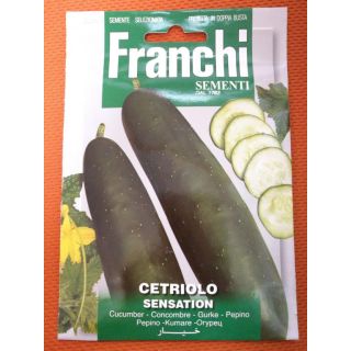 Compra PEPINO SENSATION (6 gr.). en la tienda online Fito Agrícola