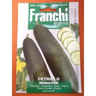 Compra PEPINO SENSATION (6 gr.). en la tienda online Fito Agrícola