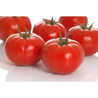 Compra TOMATE CARTUJANO F1 (1.000 Semillas). en la tienda online Fito Agrícola