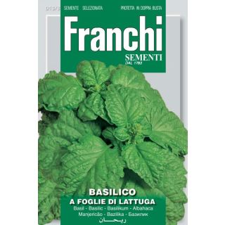 Compra ALBAHACA HOJA DE LECHUGA (100 gr.). en la tienda online Fito Agrícola