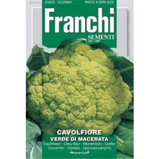 Compra COLIFLOR VERDE DE MACERATA (100 gr.). en la tienda online Fito Agrícola