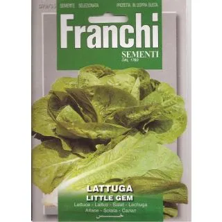 Compra LECHUGA LITTLE GEM (100 gr.). en la tienda online Fito Agrícola