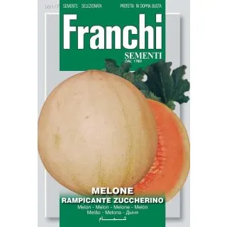 Compra MELÓN RAMPICANTE ZUCCHERINO (4 gr.). en la tienda online Fito Agrícola