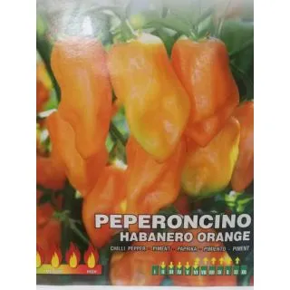 Compra ARDEI HABANERO PORTOCALIU (10 gr.) en la tienda online Fito Agrícola