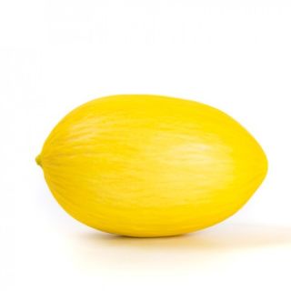 Compra MELÓN AZILAL RZ F1 Precisión (1.000 Semillas). en la tienda online Fito Agrícola