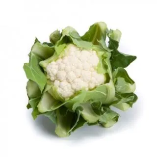 Compra COLIFLOR SENTENTIA RZ F1 Precisión (2.500 Semillas). en la tienda online Fito Agrícola