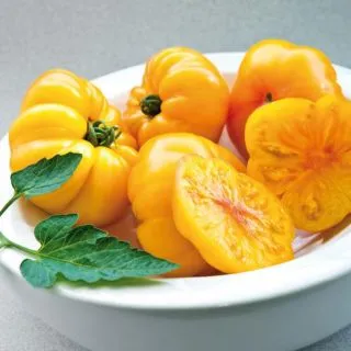 Compra TOMATE MARGOLD F1 (250 Semillas). en la tienda online Fito Agrícola