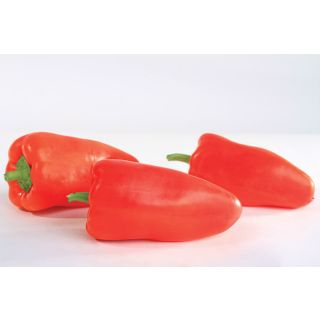 Compra PIMIENTO GYPSY F1 (1000 Semillas). en la tienda online Fito Agrícola