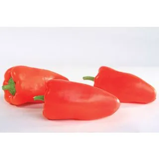 Compra ARDEI GYPSY F1 (1000 semințe). en la tienda online Fito Agrícola