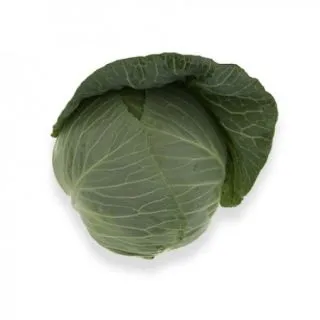 Compra COL TACOMA RZ F1 Precisión (2.500 Semillas). en la tienda online Fito Agrícola