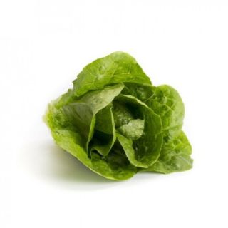 Compra LECHUGA CORTAZAR RZ Pildorada (5.000 Semillas). en la tienda online Fito Agrícola