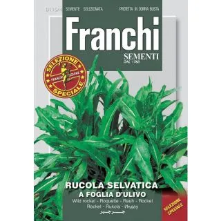 Compra RÚCULA SELVÁTICA A FOGLIA D'ULIVO (500 gr.) en la tienda online Fito Agrícola