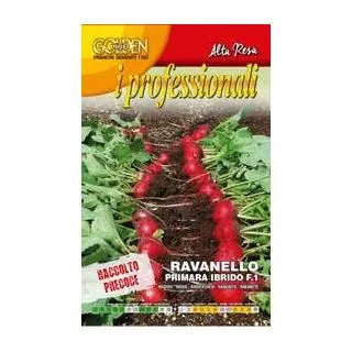 Compra RABANITO PRIMARA F1 (50 gr.). en la tienda online Fito Agrícola