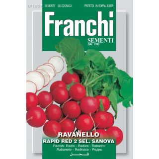 Compra RABANITO RAPID RED 2 Sel. Sanova (100 gr.) en la tienda online Fito Agrícola