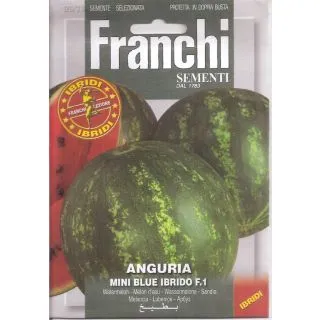 Compra SANDÍA MINI BLUE F-1 (10 gr.). en la tienda online Fito Agrícola