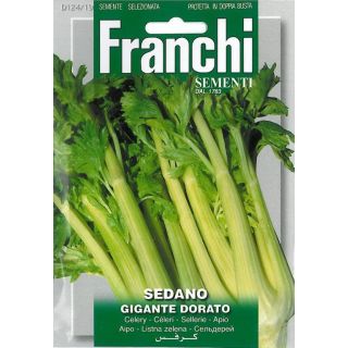 Compra APIO GIGANTE DORADO (5 gr.). en la tienda online Fito Agrícola