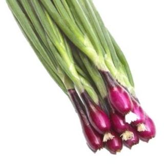 Compra CEBOLLA APACHE F1 Sin Tratar (1.000.000 Semillas) en la tienda online Fito Agrícola