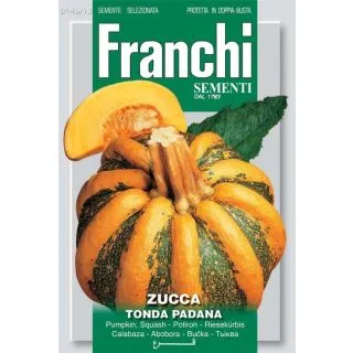 Compra CALABAZA TONDA PADANA (100 gr.). en la tienda online Fito Agrícola