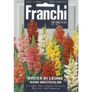 Compra ANTIRRINO ENANO TAPIZ MÁGICO MULTICOLOR (50 gr.). en la tienda online Fito Agrícola