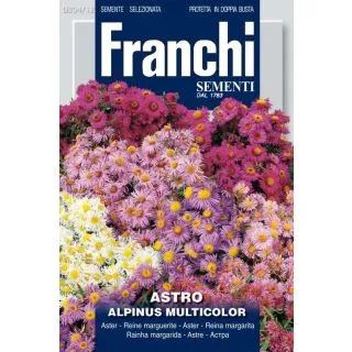 Compra Aster alpin (10 gr.). en la tienda online Fito Agrícola