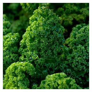 Compra COL KALE AFRO Sin Tratar (2.500 Semillas) en la tienda online Fito Agrícola