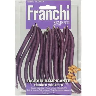 Compra JUDÍA TRIUNFO VIOLETA (5 Kgr.). en la tienda online Fito Agrícola