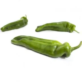 Compra ARDEI MASSOUDA RZ F1 Precizie (1.000 Semințe). en la tienda online Fito Agrícola