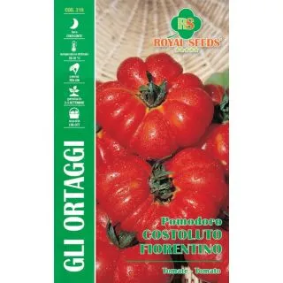 Compra TOMATE COSTOLUTO FLORENTINO (2 gr. - Cerca de 500 Semillas). en la tienda online Fito Agrícola