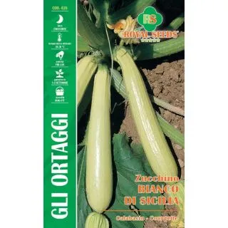 Compra CALABACÍN BLANCO DE SICILIA (9 gr. - 110 Semillas) en la tienda online Fito Agrícola