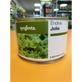 Compra ESCAROLA JOLIE Pildorada (5.000 Semillas). en la tienda online Fito Agrícola