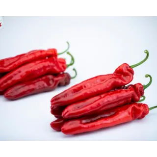 Compra PIMIENTO YUKO F1 (1000 Semillas) en la tienda online Fito Agrícola