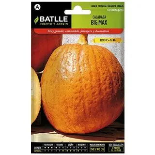 Compra CALABAZA BIG MAX (6 gr.). en la tienda online Fito Agrícola