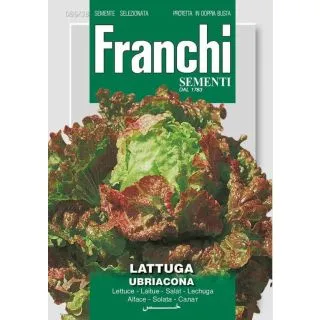 Compra LECHUGA UBRIACONA (500 gr.). en la tienda online Fito Agrícola