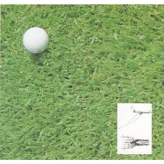 Compra KIKUYU AZ-1 Pildorado (200 gr.). en la tienda online Fito Agrícola