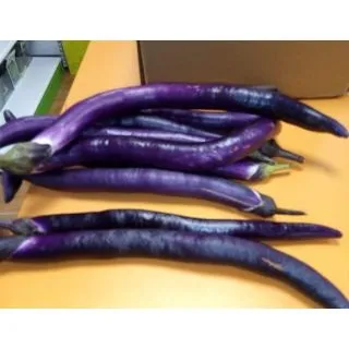Compra BERENJENA JAPONESA EPS104 en la tienda online Fito Agrícola