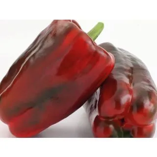 Compra ARDEI MAKKO F1 (1000 semințe). en la tienda online Fito Agrícola