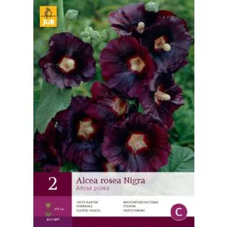 Compra ALCEA ROSEA NIGRA en la tienda online Fito Agrícola